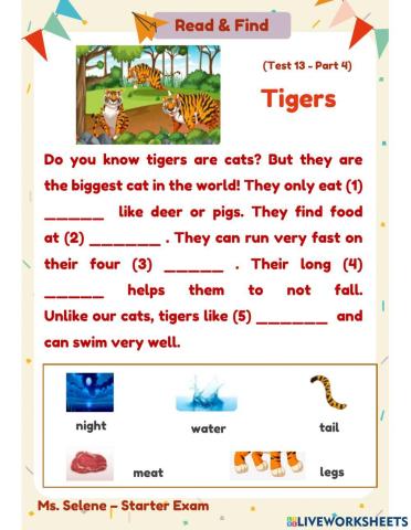 Starters Exam - Test 13 - Reading & Writing - Part 4