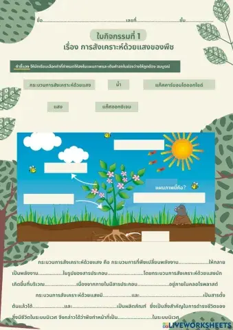 ใบกิจกรรมที่ 1 เรื่อง การสังเคราะห์ด้วยแสงของพืช