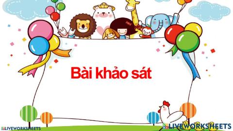 Khảo sát HĐTN, Đạo đức, TNXH