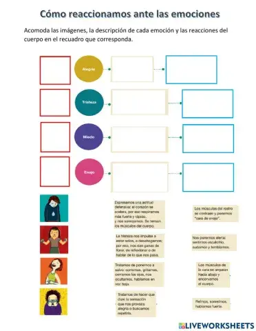 Cómo reaccionamos ante las emociones