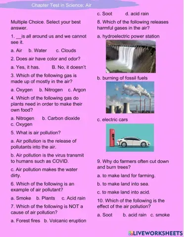 Chapter Test in Science-Air