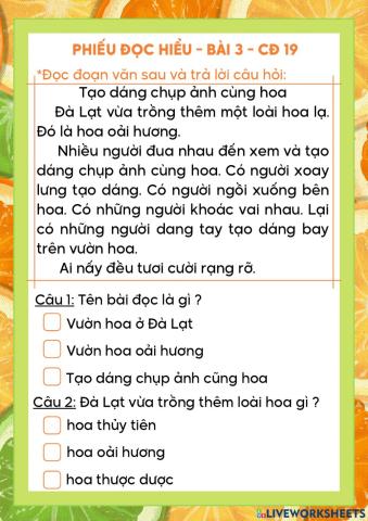 Đọc hiểu Tuần 19