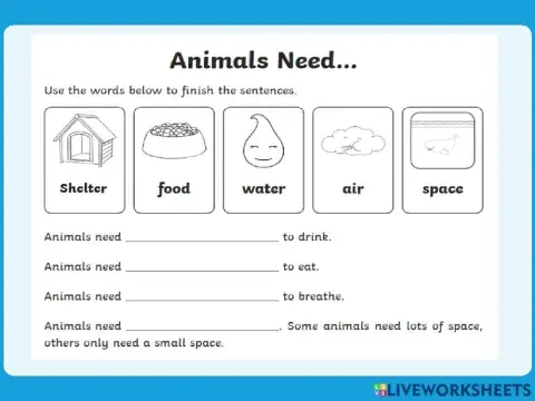 Animal needs