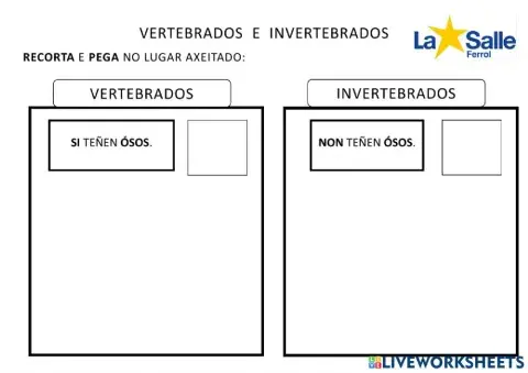 Animais vertebrados e invertebrados
