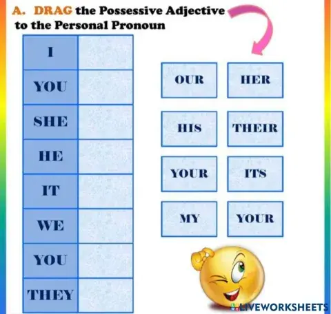 Pronouns