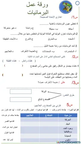 ورقة عمل  درس البرمائيات