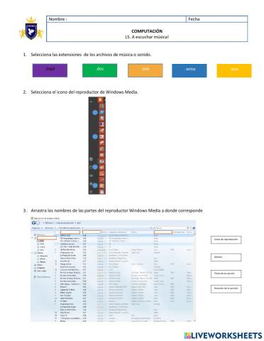 Windows Media  Player