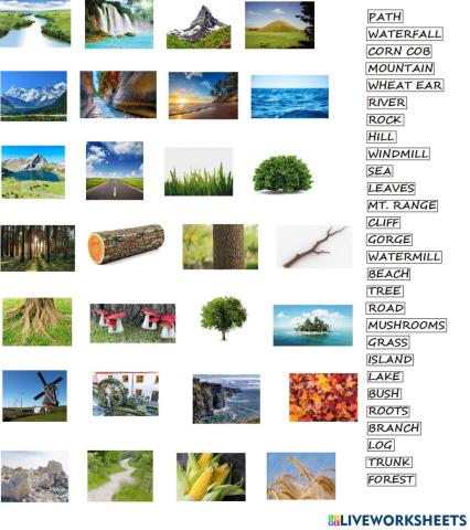 Countryside vocabulary