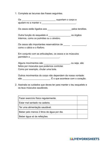 Os ossos e os músculos