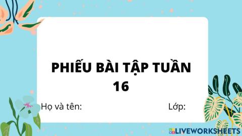 Phieu bai tap tuan 16