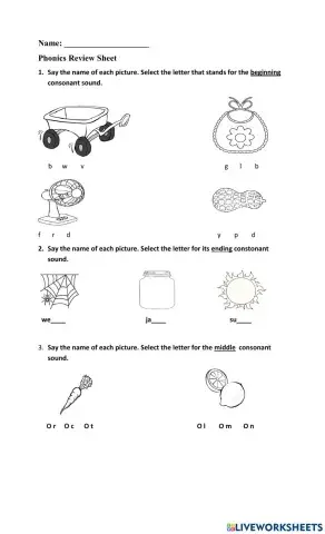 Phonics Review 1