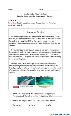 Reading Comprehension Assessment 2022