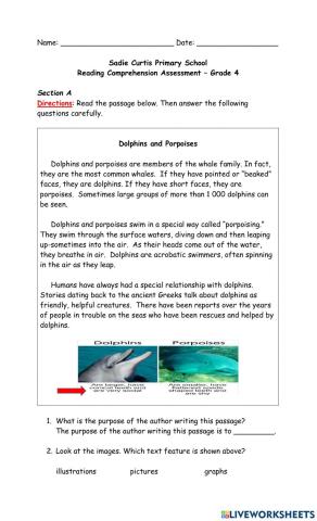 Reading Comprehension Assessment 2022