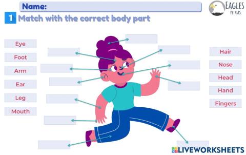 Study guide Units 3 and 4
