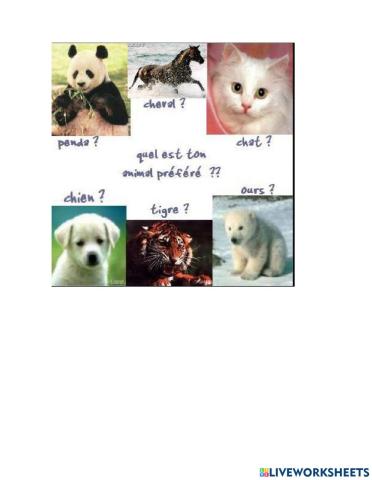 Mon animal préféré