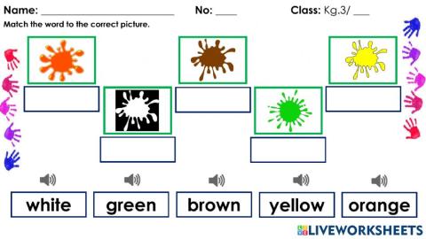 Match the word and picture.