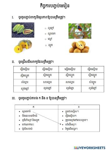 កិច្ចការបញ្ចប់មេរៀន