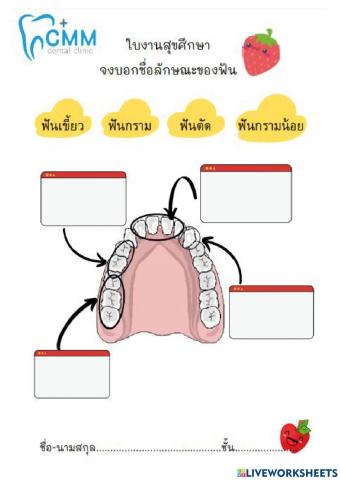 ฟัน