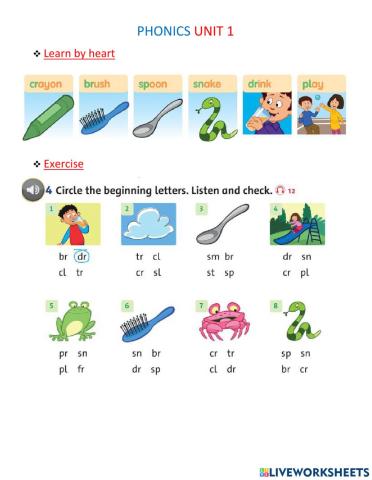 Phonics CR BR SP SN DR PL