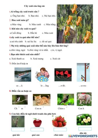 Cây xoài của ông em