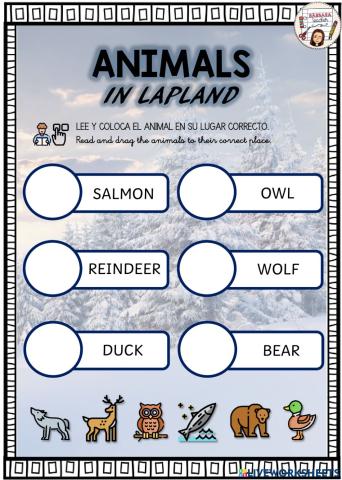 Animals in Lapland reading