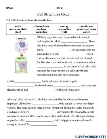Animal and Plant Cells