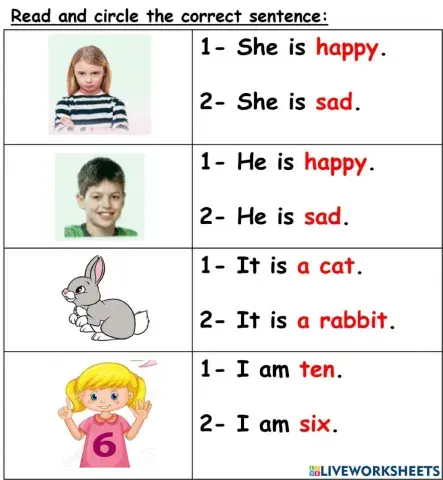 Look at the pictures, Read the sentences and choose the correct sentence