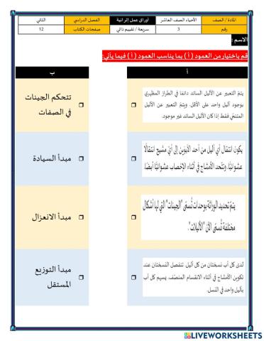 أنماط وراثية 3