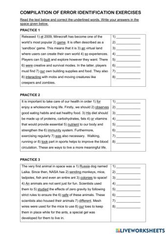 More Error Identification Exercises