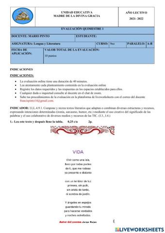 Evaluación quimestral 9no