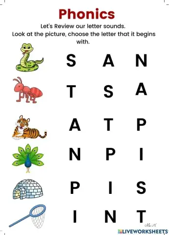 SATPIN  Phonics Worksheet