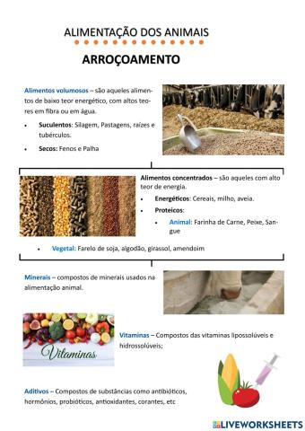 Alimentação dos Animais