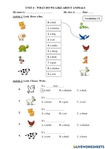 Unit 4-Vocabulary 1A