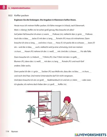 Adjektivdeklination (2)