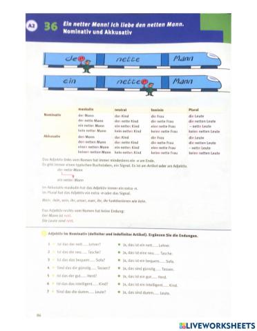 Adjektivdeklination (3)