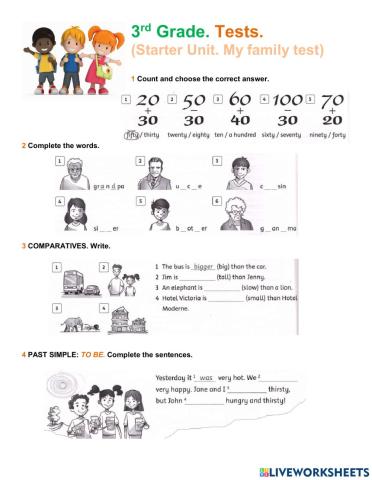 3rd grade TESTS Starter Unit