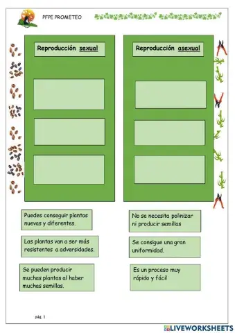 Reproduccion vegetal