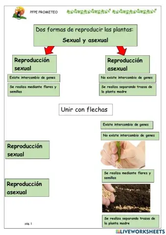 Reproducción sexual