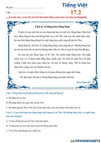 Phiếu bài tập Tiếng Việt 17.2