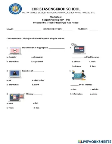 P6 worksheet Safety in using internet