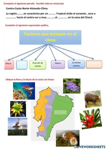 El clima de la costa