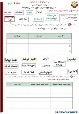 أ.هالة عبدالعزيز