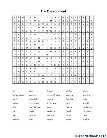Wordsearch: The Environment