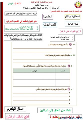 أ.هالة عبدالعزيز