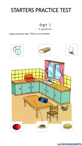 PRe01- Starter Practice Test 1 