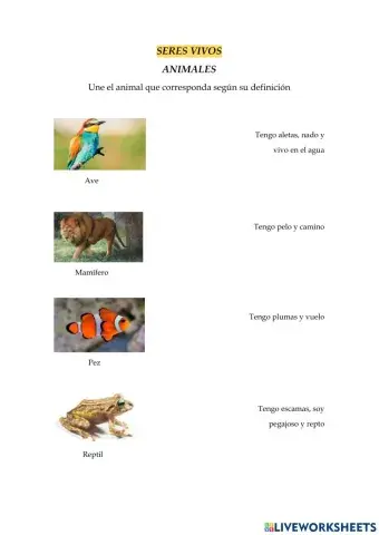 SERE VIVOS (Animales)