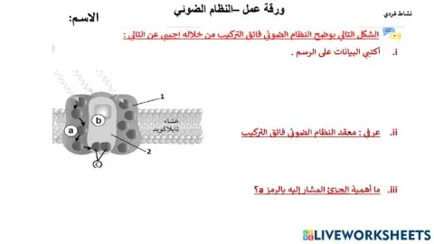 النظام الضوئي المعقد