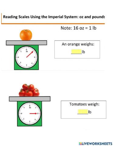 Reading A Scale