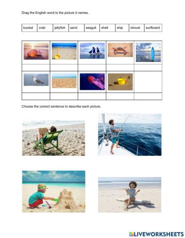 At the Beach Vocabulary