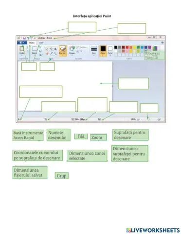Interfata aplicatiei Paint